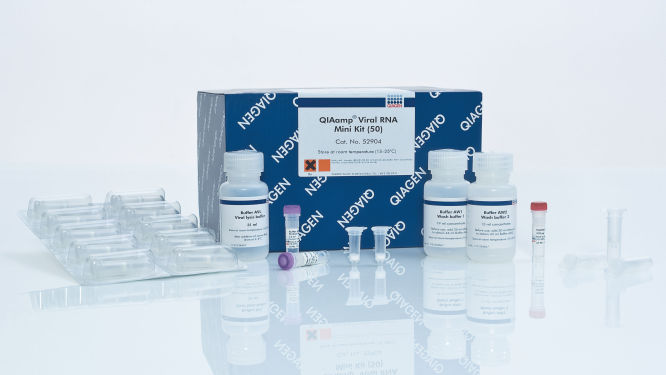 QIAamp Viral RNA Mini Kit (50)